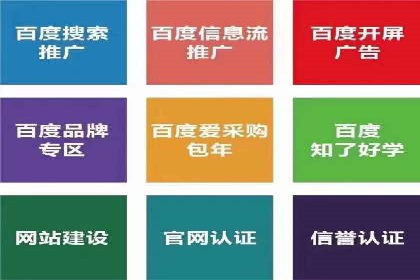 竞价推广公司的策略布局：某行业领导品牌的成功案例